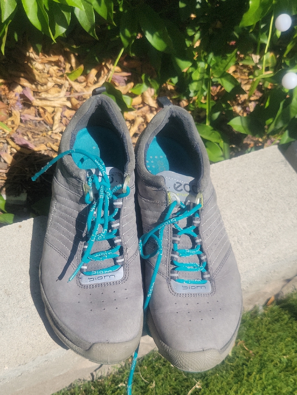 ECCO Biom Sneakers in Gray with Blue Laces  Golf Shoes 8.5